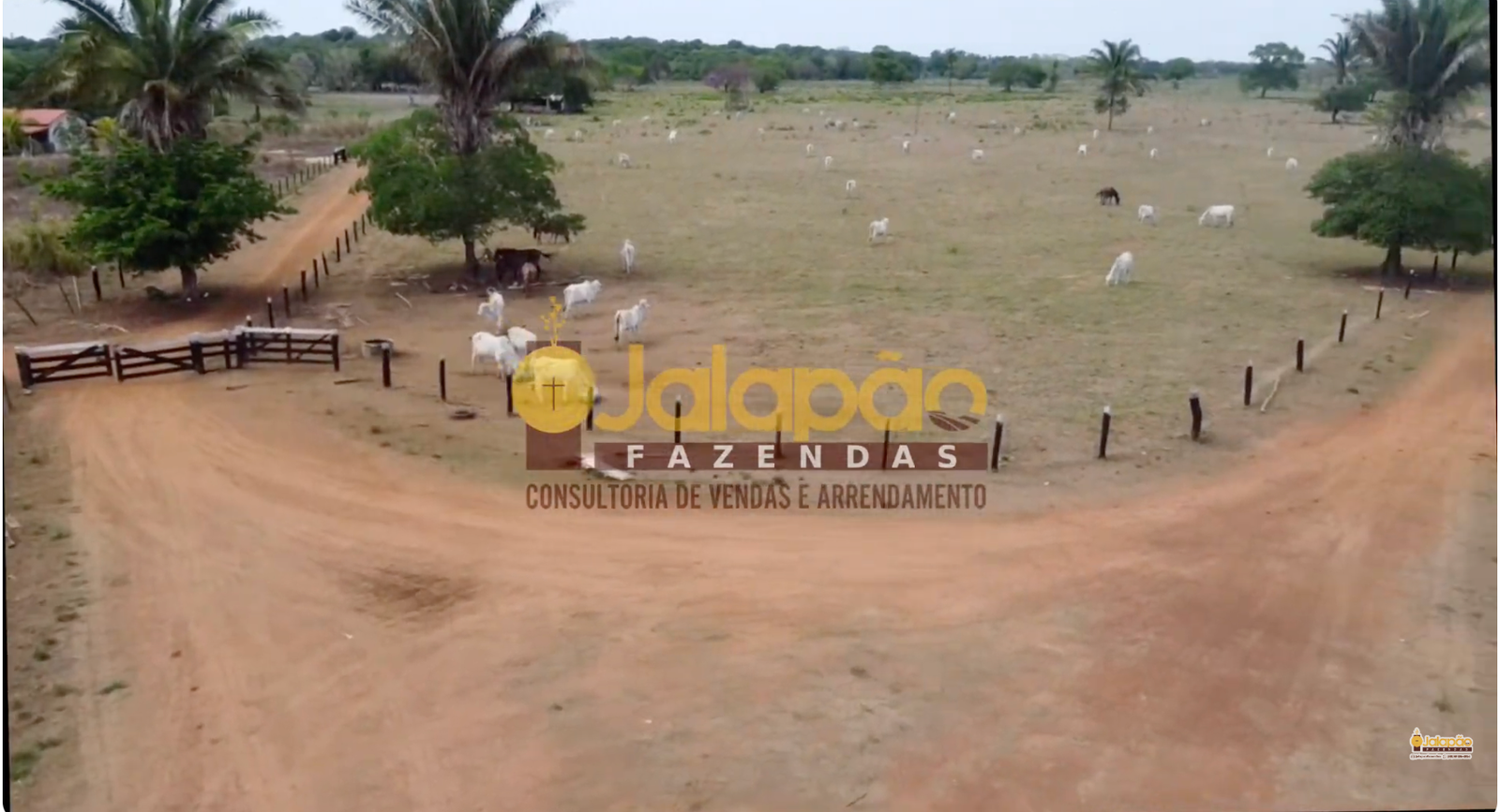 Captura de Tela 2025-09-15 às 20.54.04