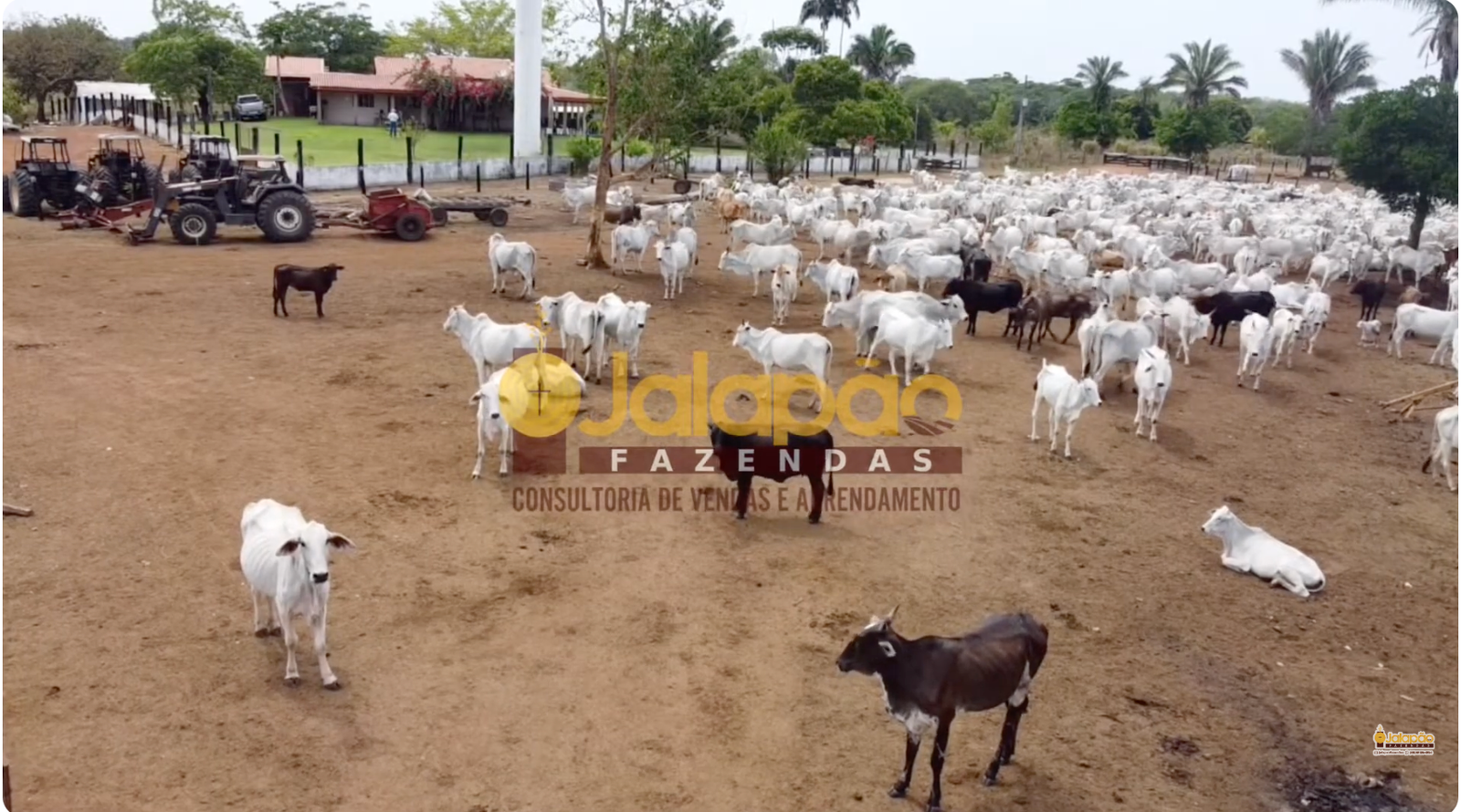 Captura de Tela 2025-09-15 às 21.00.48