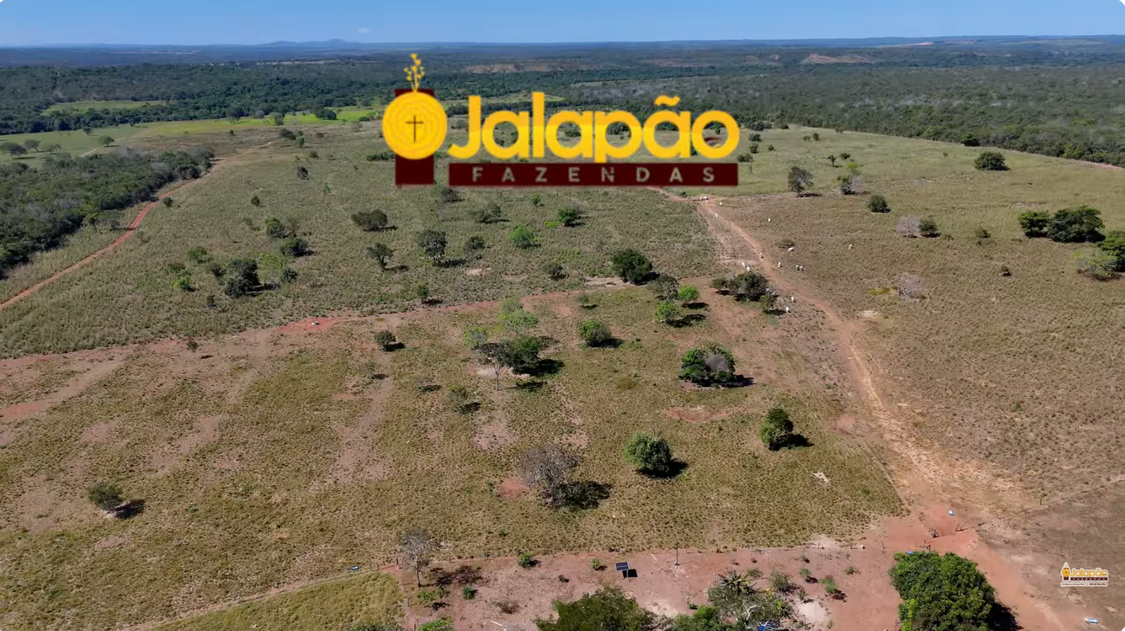 Captura de Tela 2025-09-15 às 21.51.36