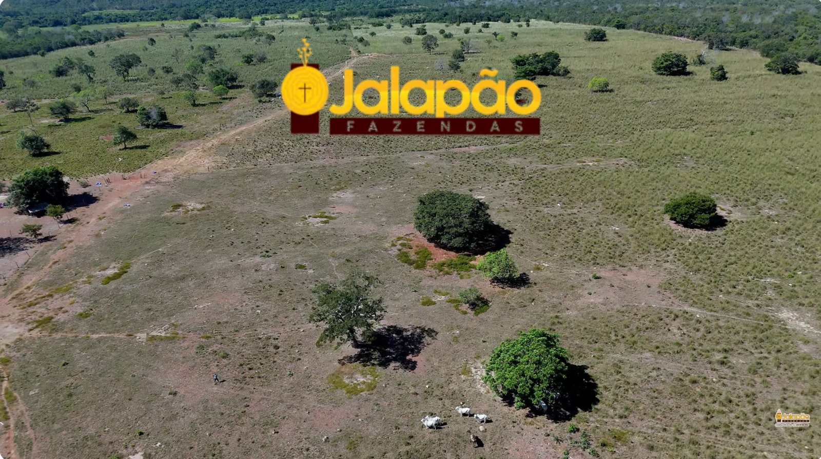 Captura de Tela 2025-09-15 às 21.52.00