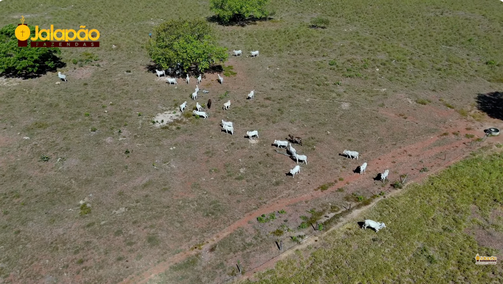 Captura de Tela 2025-09-15 às 21.55.12