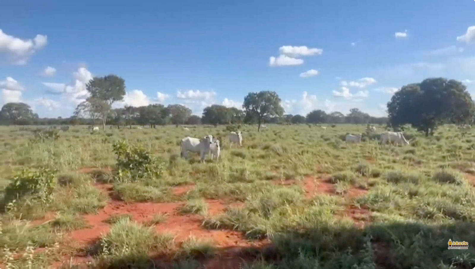 Captura de Tela 2025-09-15 às 22.11.43