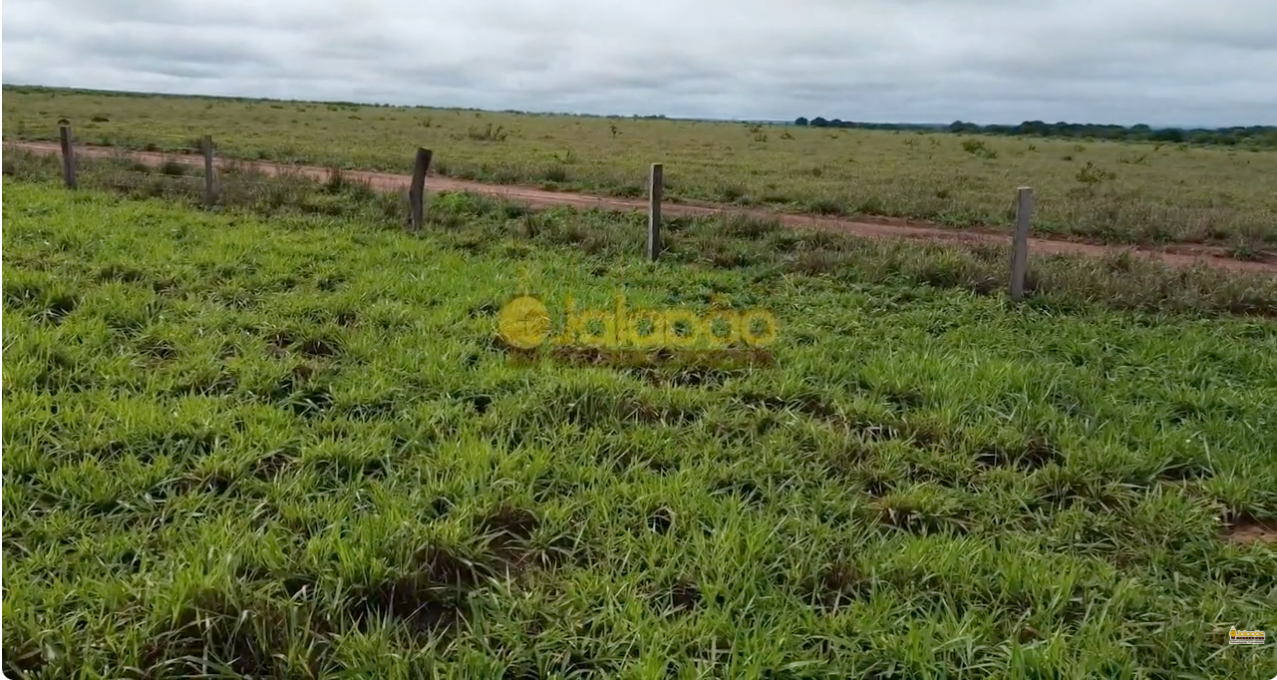 Captura de Tela 2025-09-16 às 07.48.02
