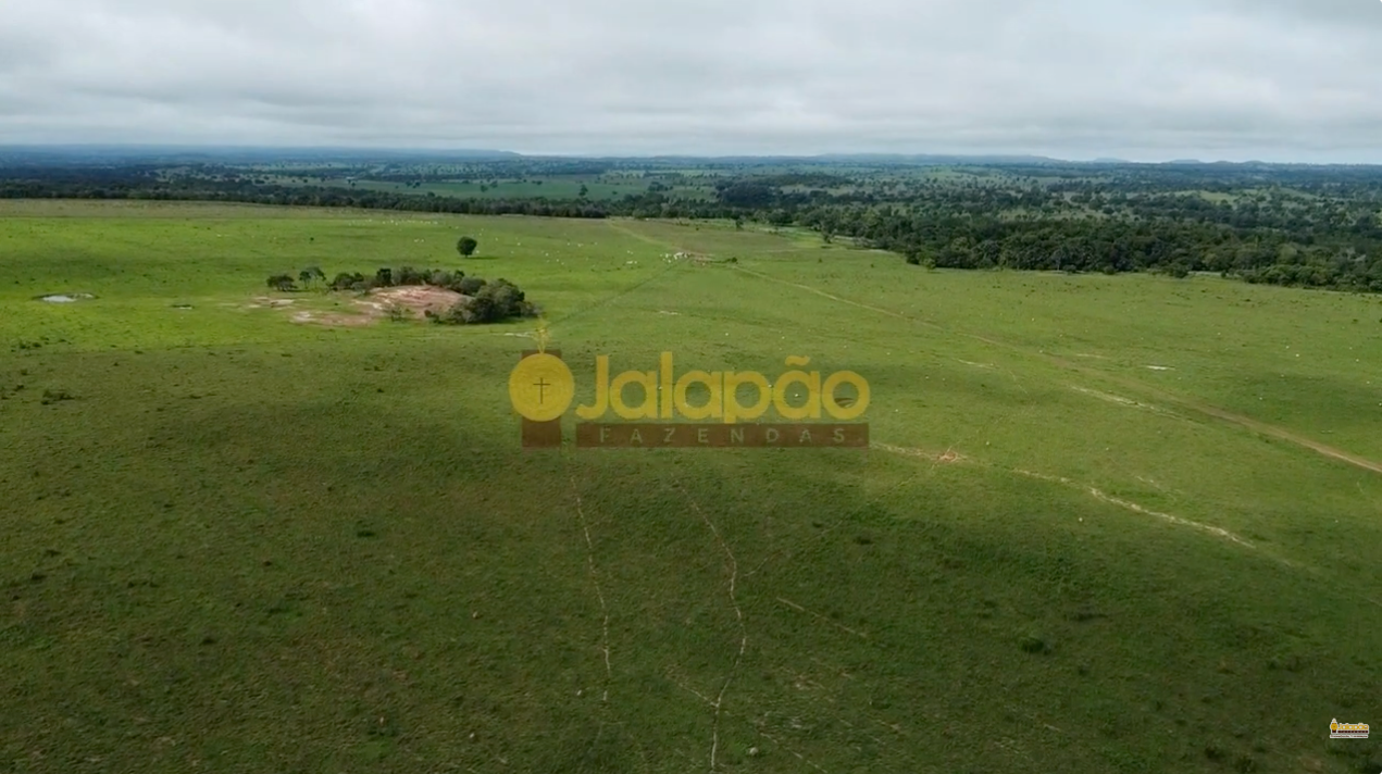 Captura de Tela 2025-09-16 às 07.52.49