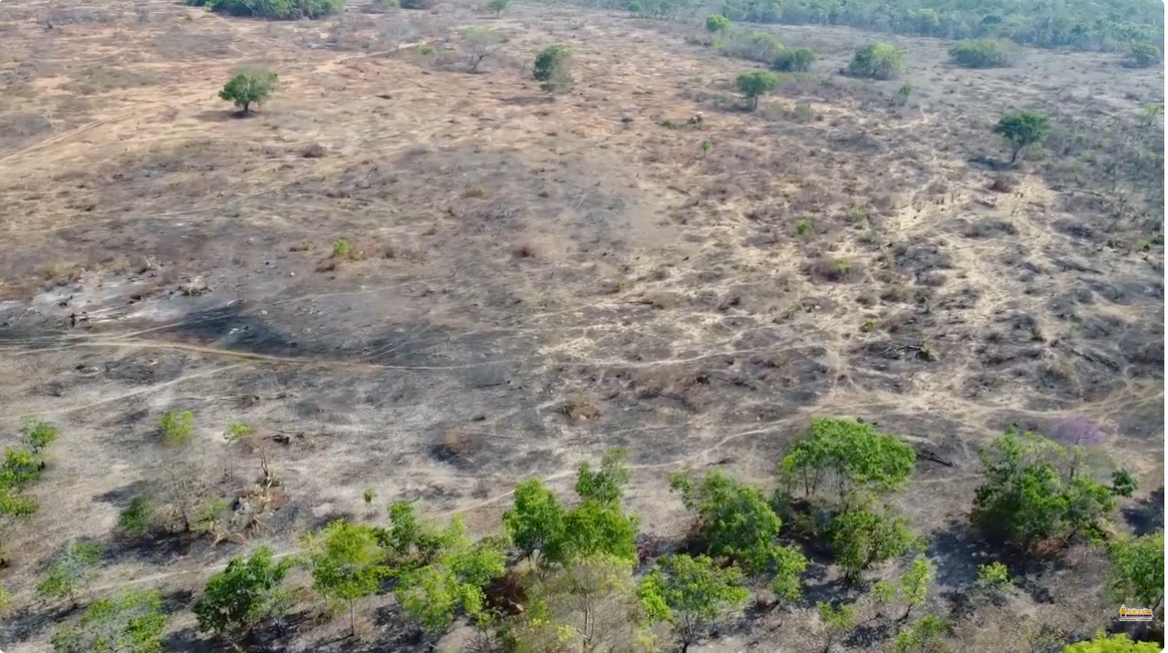 Captura de Tela 2025-09-16 às 08.09.43