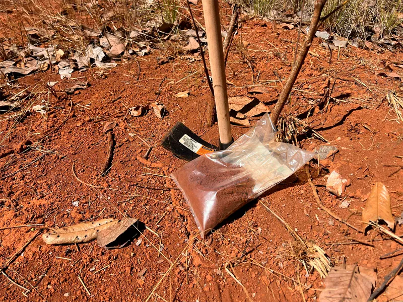 WhatsApp Image 2025-09-01 at 11.47.56