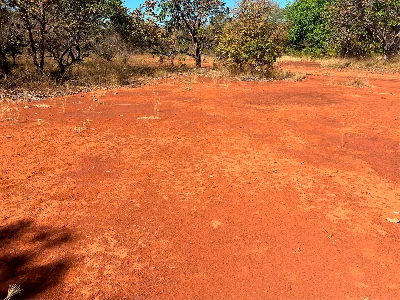 WhatsApp Image 2025-09-01 at 11.47.57 (2)