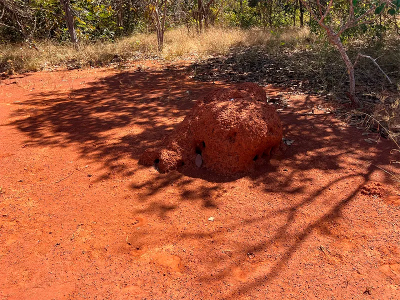 WhatsApp Image 2025-09-01 at 11.47.57 (3)