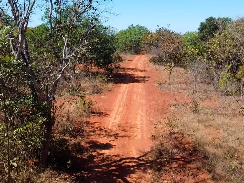 WhatsApp Image 2025-09-01 at 11.47.57 (7)