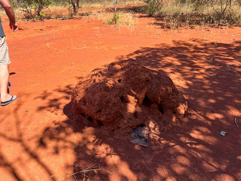 WhatsApp Image 2025-09-01 at 11.47.57