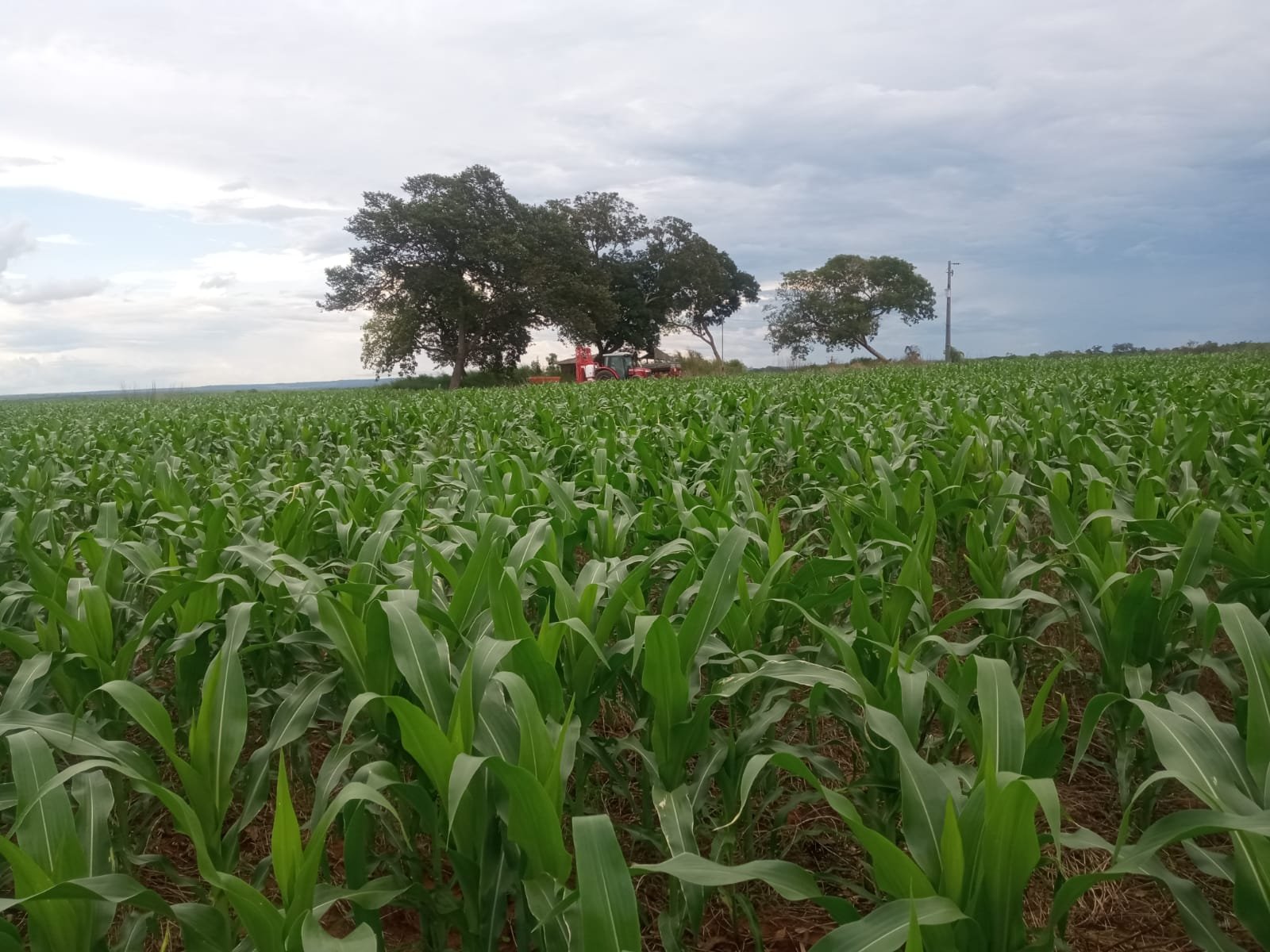 WhatsApp Image 2025-09-06 at 20.42.13 (1)