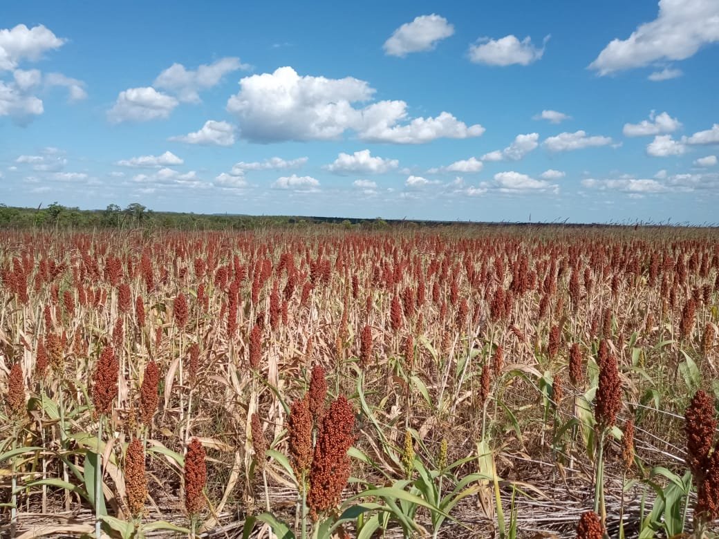 WhatsApp Image 2025-09-06 at 20.42.15 (1)