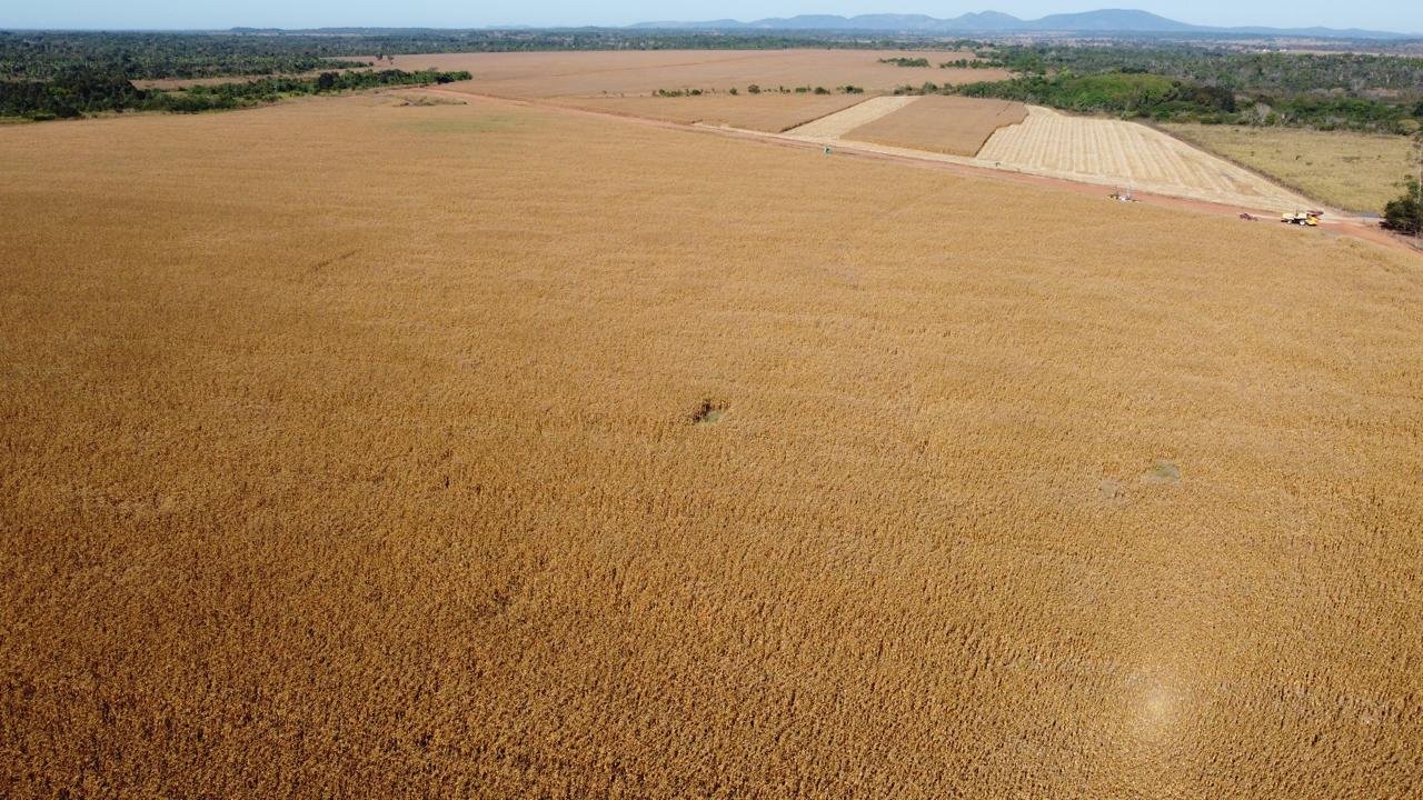 WhatsApp Image 2025-09-15 at 10.37.17