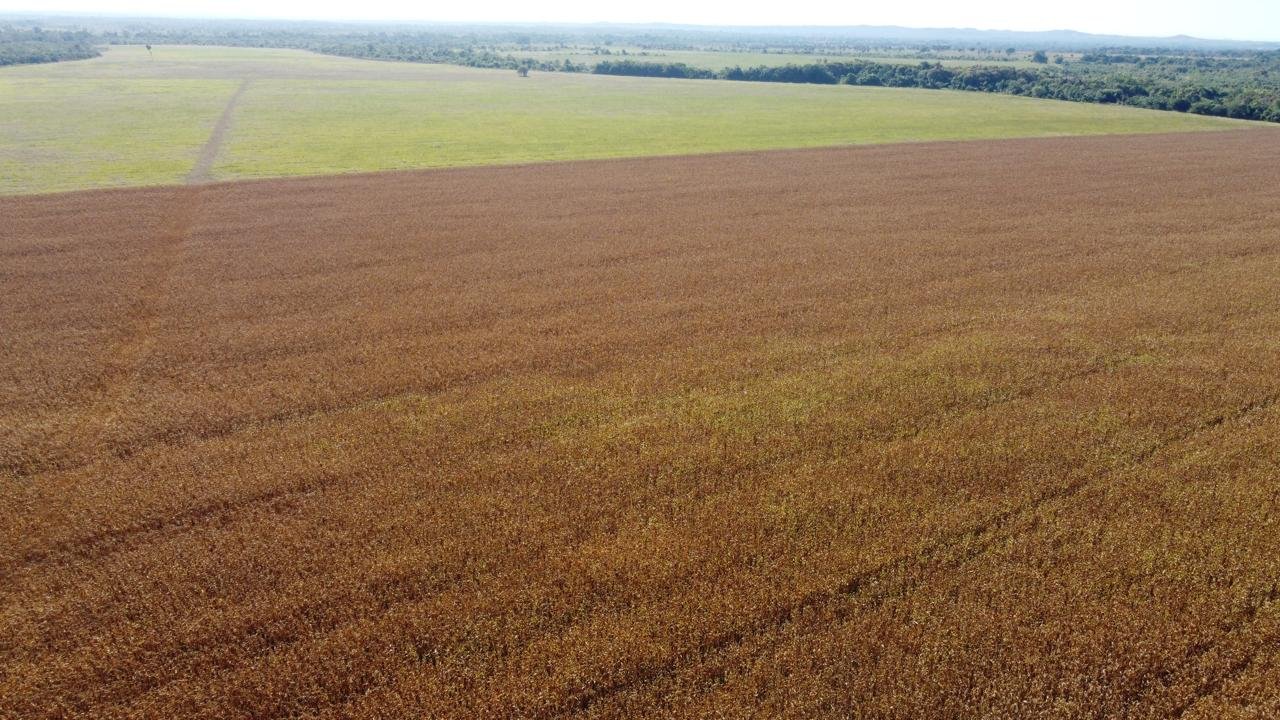 WhatsApp Image 2025-09-15 at 10.37.18 (1)