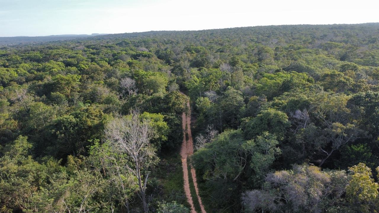 WhatsApp Image 2025-09-15 at 10.40.53 (1)