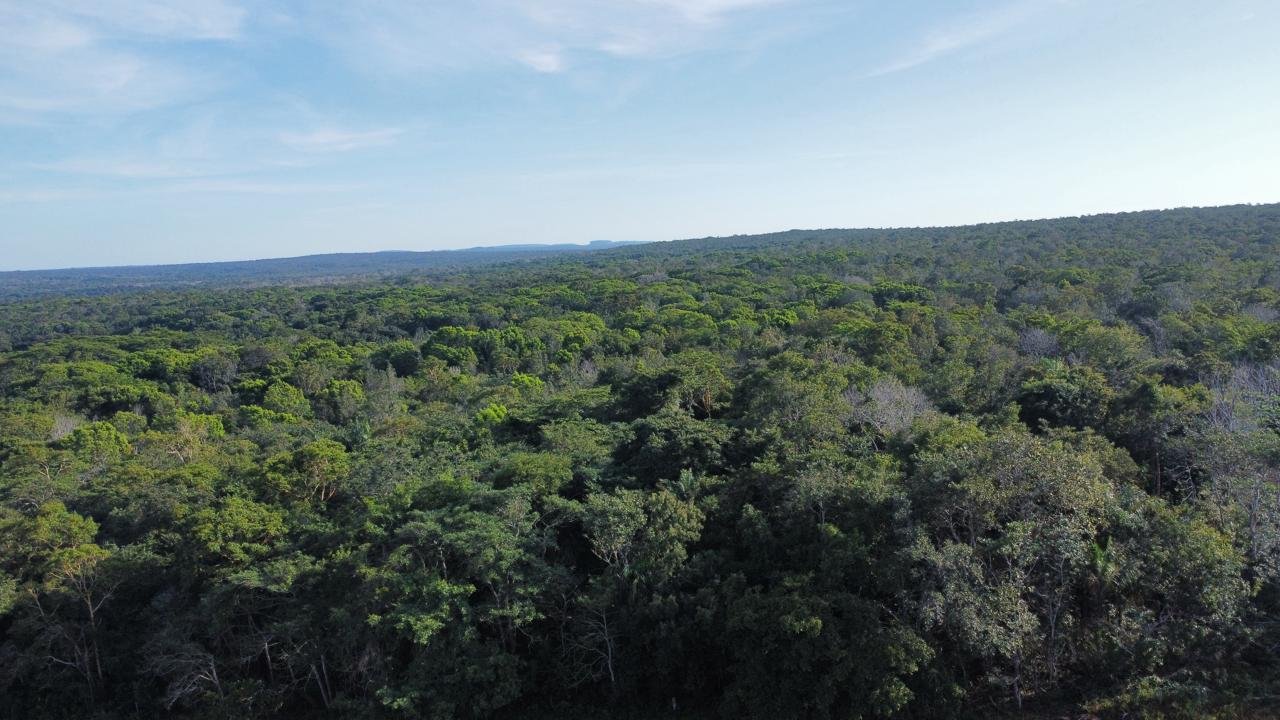 WhatsApp Image 2025-09-15 at 10.40.53 (6)