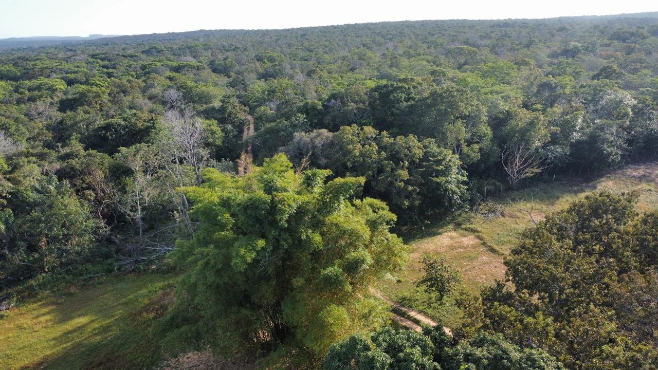 WhatsApp Image 2025-09-15 at 10.40.53 (7)