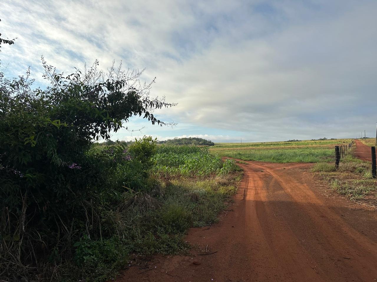 WhatsApp Image 2025-09-15 at 10.44.16