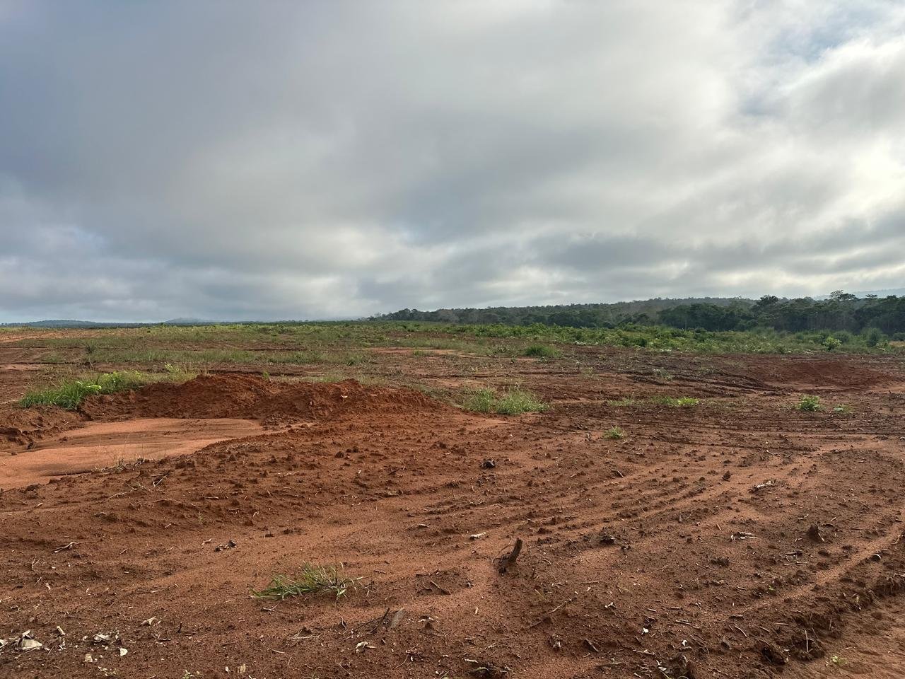 WhatsApp Image 2025-09-15 at 10.44.20 (11)