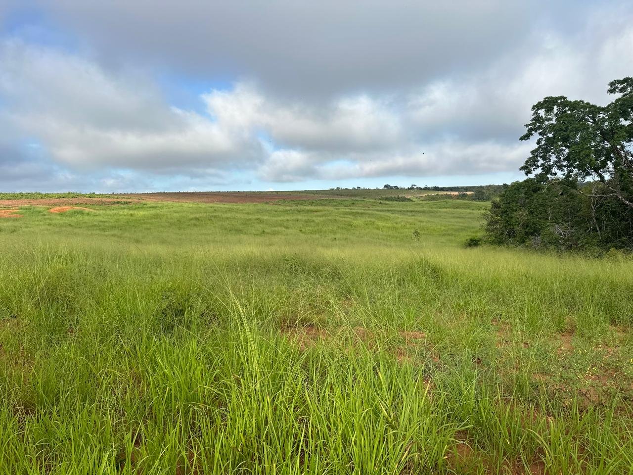 WhatsApp Image 2025-09-15 at 10.44.20 (16)