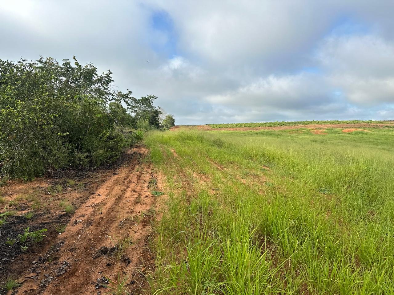 WhatsApp Image 2025-09-15 at 10.44.20 (17)