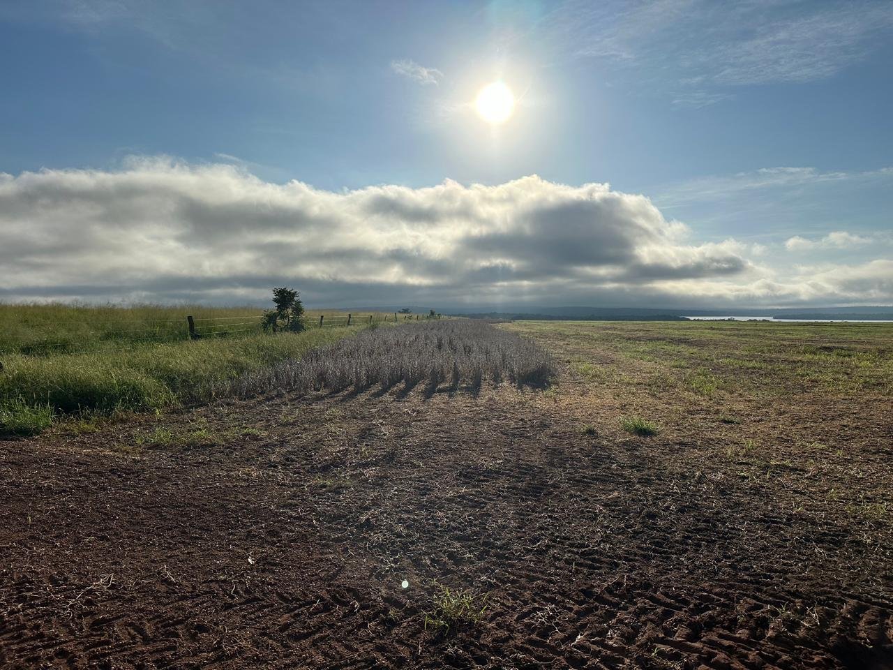 WhatsApp Image 2025-09-15 at 10.44.20 (4)