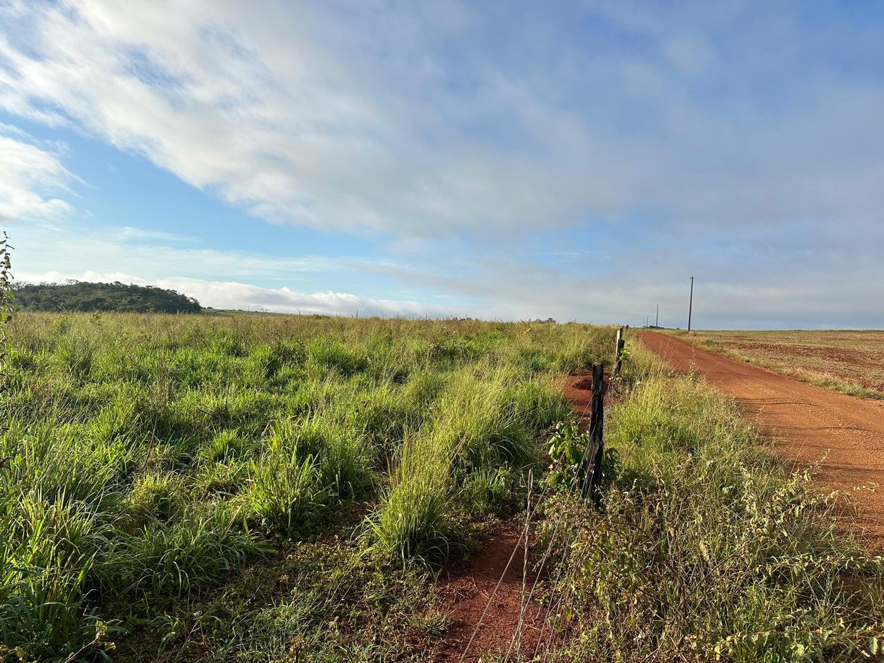 WhatsApp Image 2025-09-15 at 10.44.20