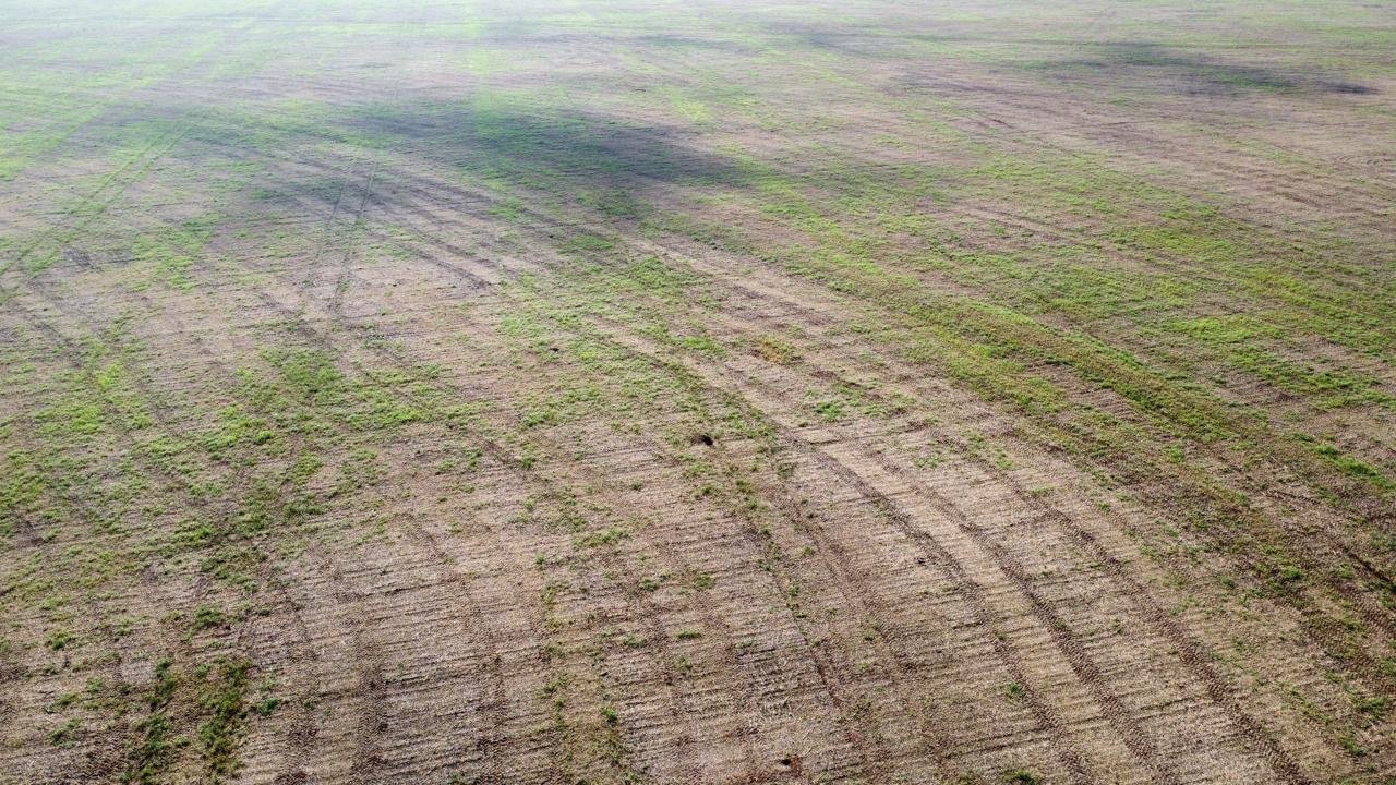 WhatsApp Image 2025-09-15 at 10.44.21 (4)