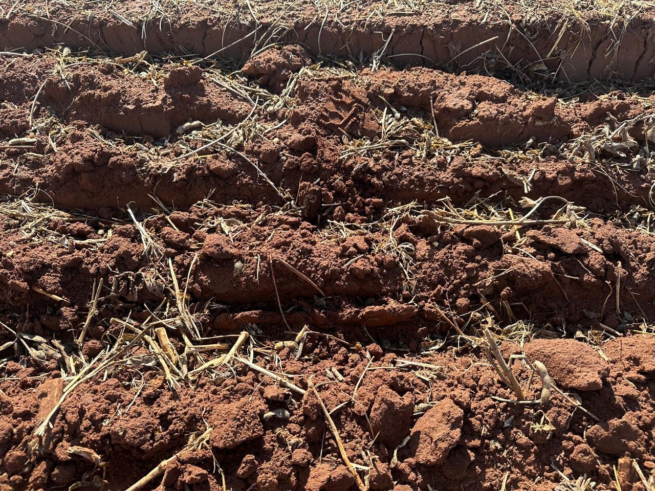 WhatsApp Image 2025-09-15 at 10.44.21