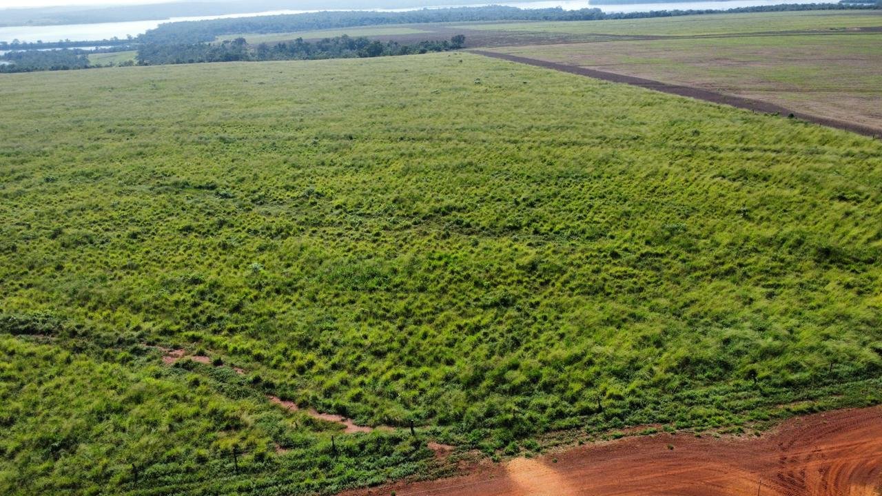 Fazenda à venda no Tocantins com 265 hectares, solo argiloso, 200 ha plantio e recursos hídricos