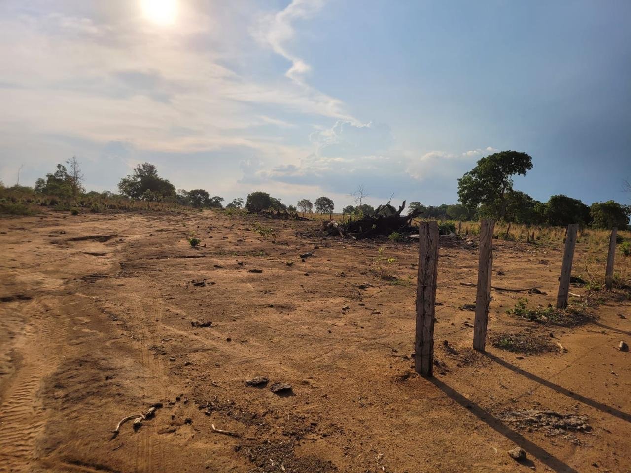 WhatsApp Image 2025-09-15 at 10.51.22