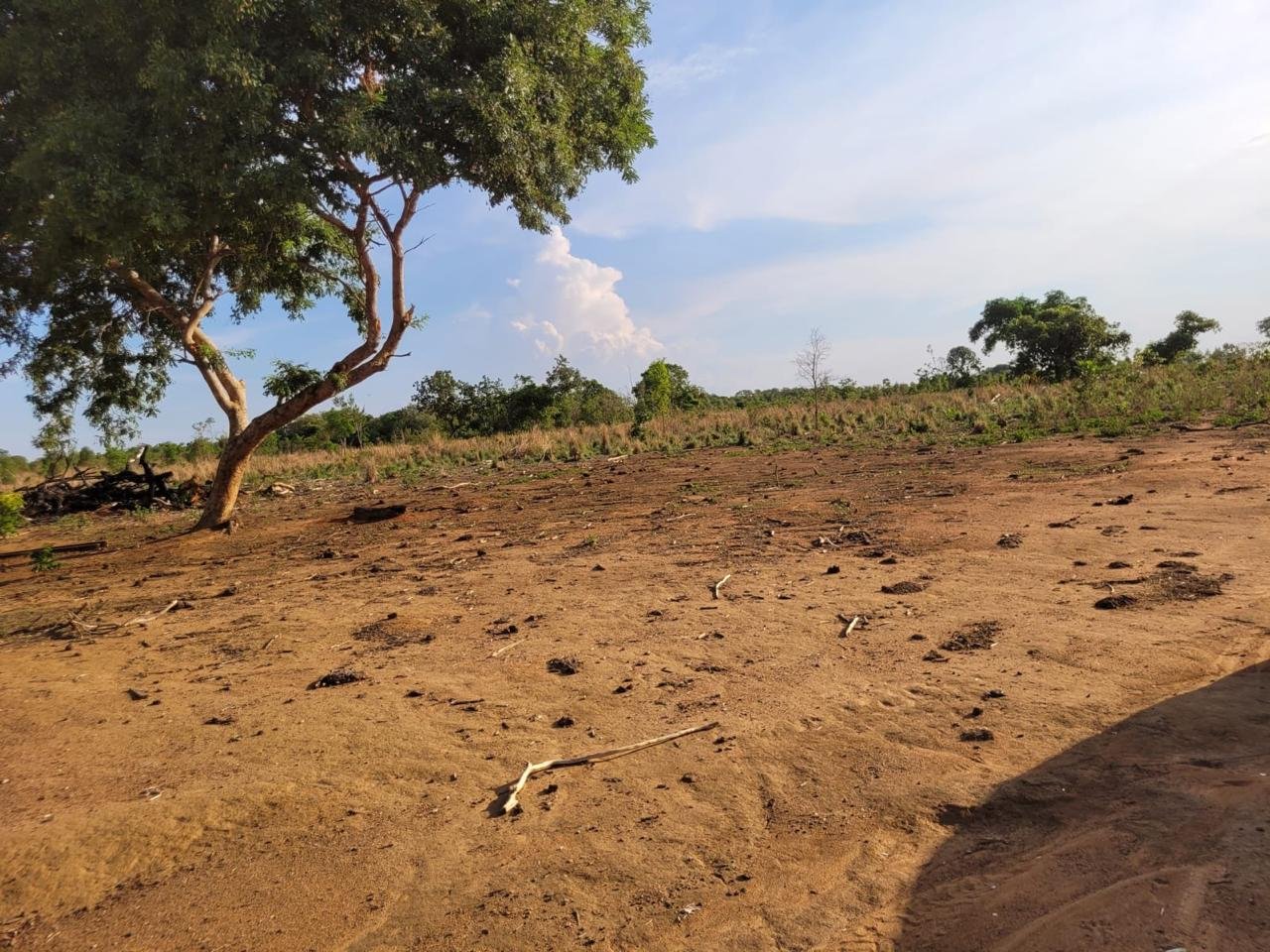 WhatsApp Image 2025-09-15 at 10.51.23