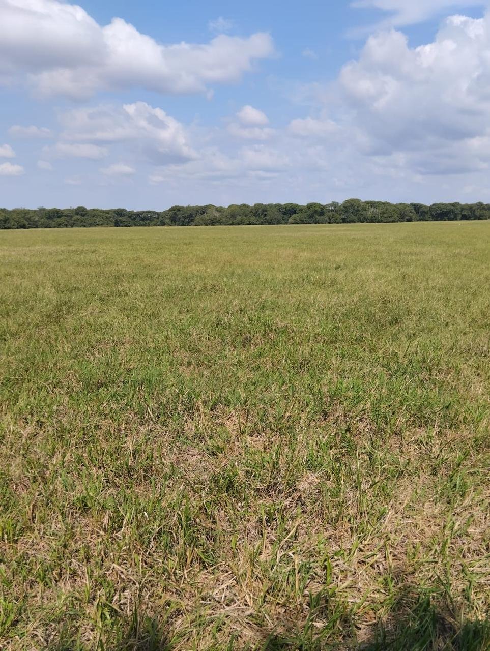 WhatsApp Image 2025-09-15 at 10.51.24 (1)