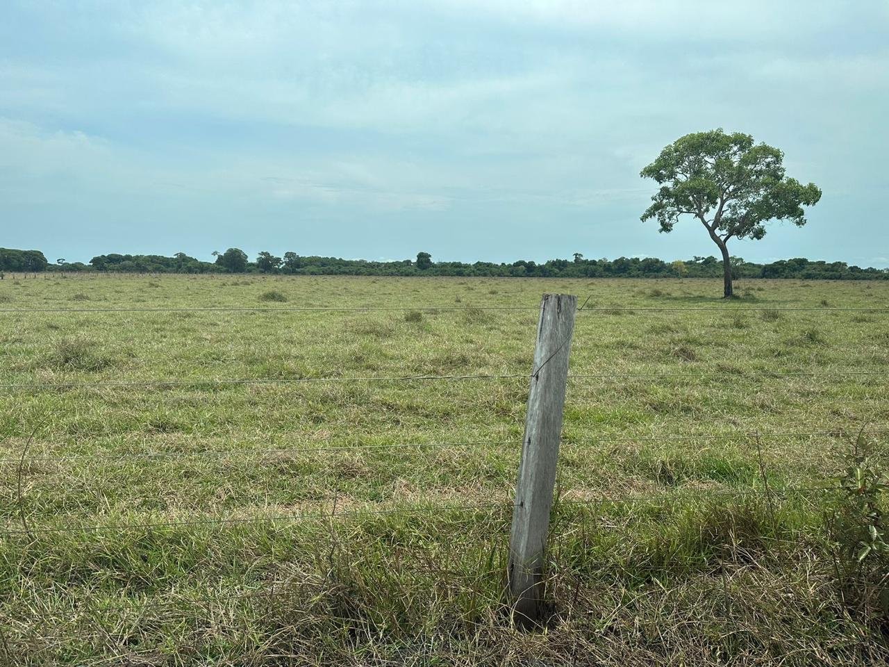 WhatsApp Image 2025-09-15 at 10.51.25 (1)