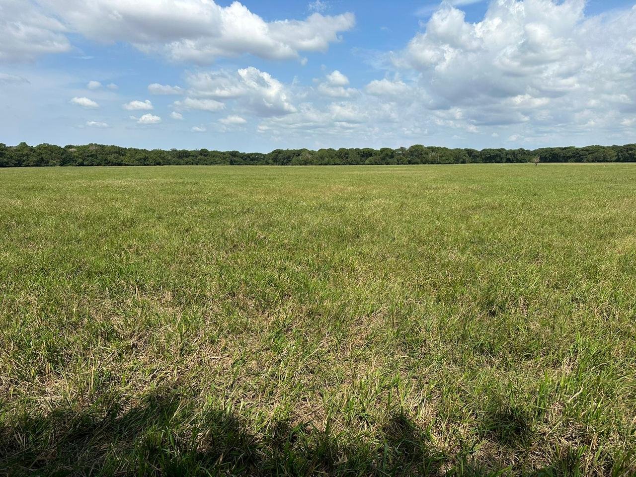 WhatsApp Image 2025-09-15 at 10.51.25 (2)