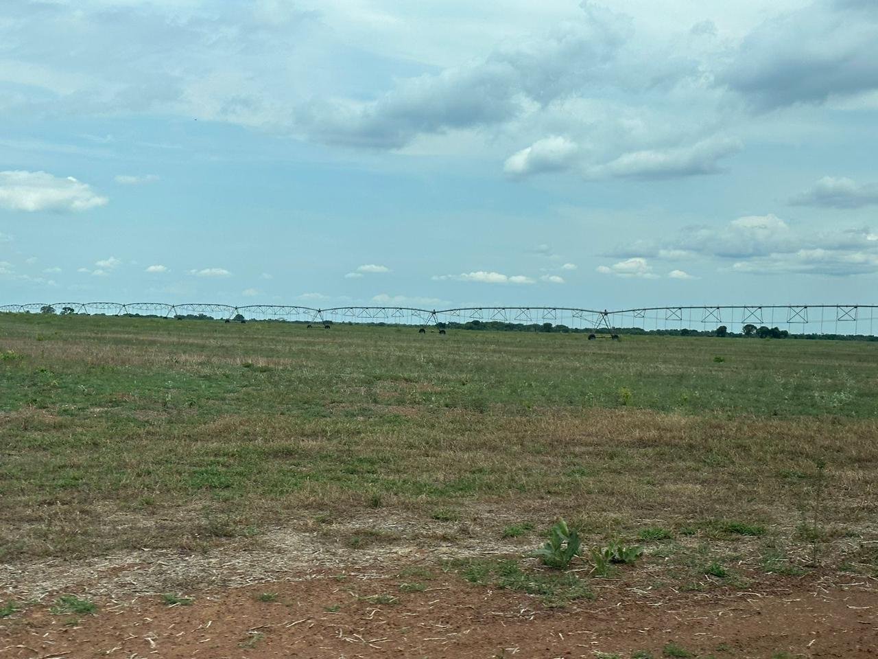 WhatsApp Image 2025-09-15 at 10.51.25 (3)