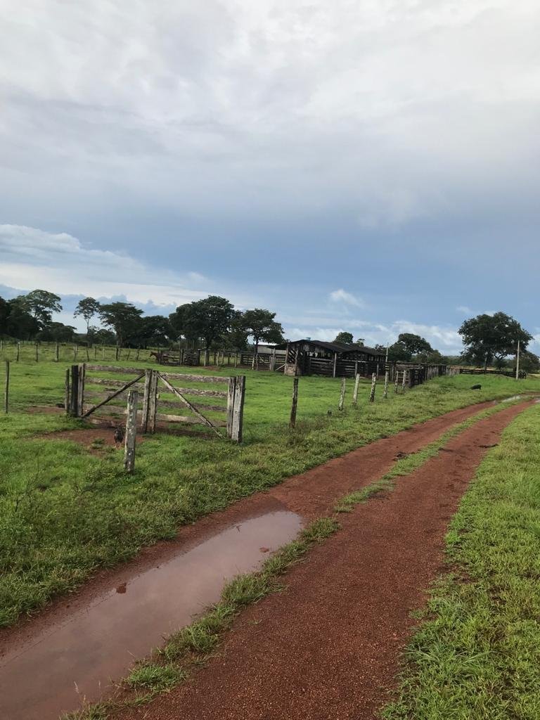 WhatsApp Image 2025-09-15 at 10.51.26 (1)