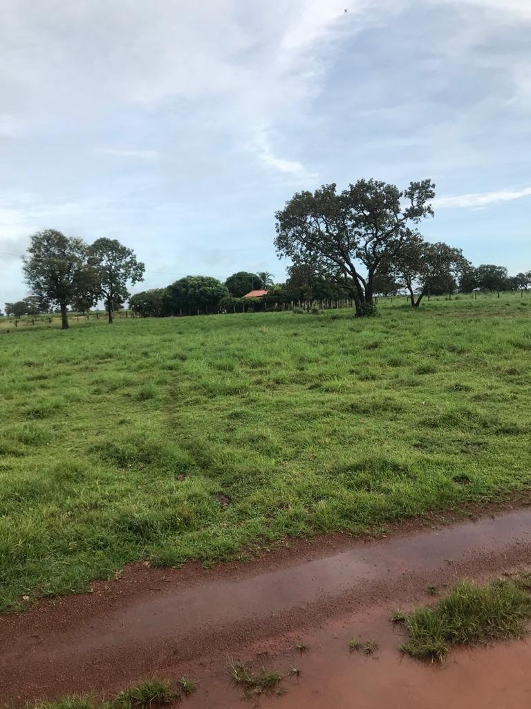 WhatsApp Image 2025-09-15 at 10.51.27 (1)