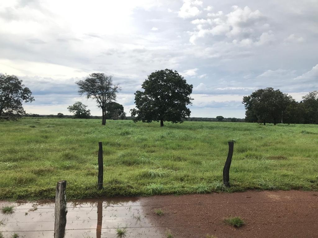 WhatsApp Image 2025-09-15 at 10.51.27