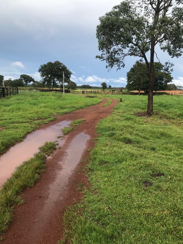 WhatsApp Image 2025-09-15 at 10.51.28 (1)