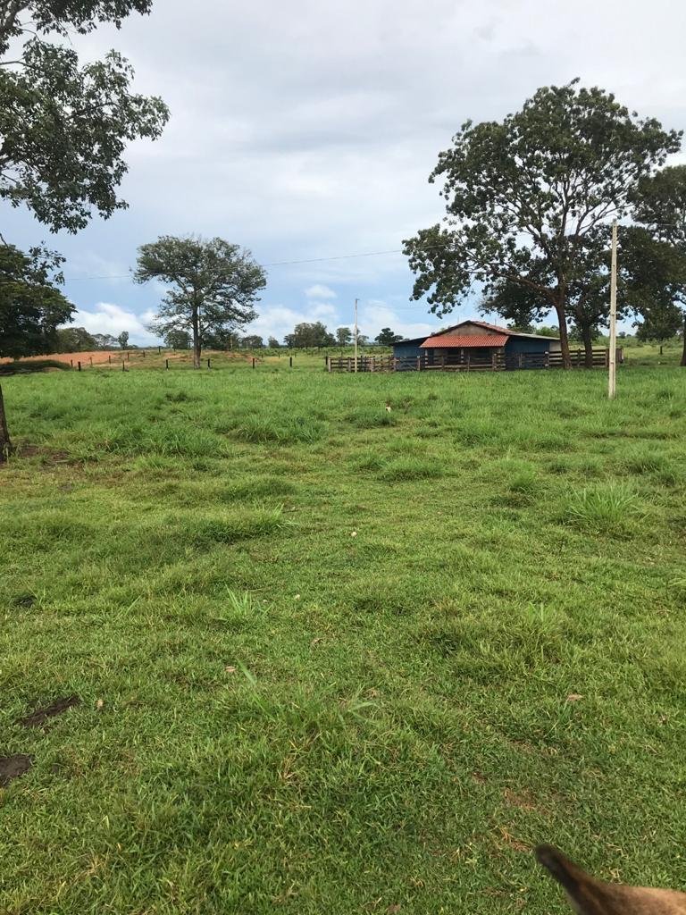 WhatsApp Image 2025-09-15 at 10.51.28 (2)