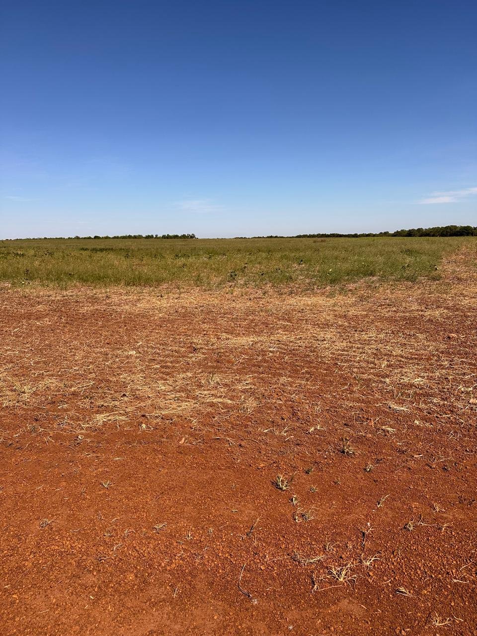 Fazenda à venda no Tocantins com 4.127 hectares, 2.500 ha de plantio, solo fértil e logística no asfalto