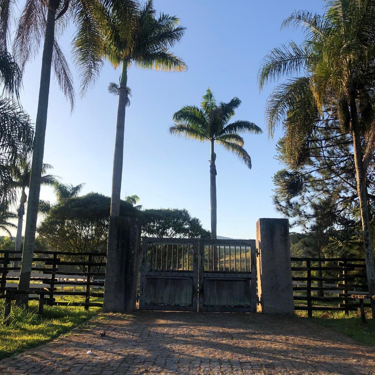 WhatsApp Image 2025-09-23 at 21.59.23 (1)