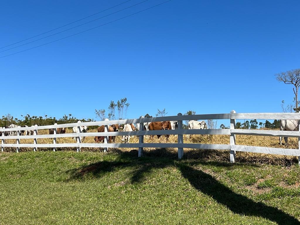 WhatsApp Image 2025-09-23 at 21.59.28 (2)